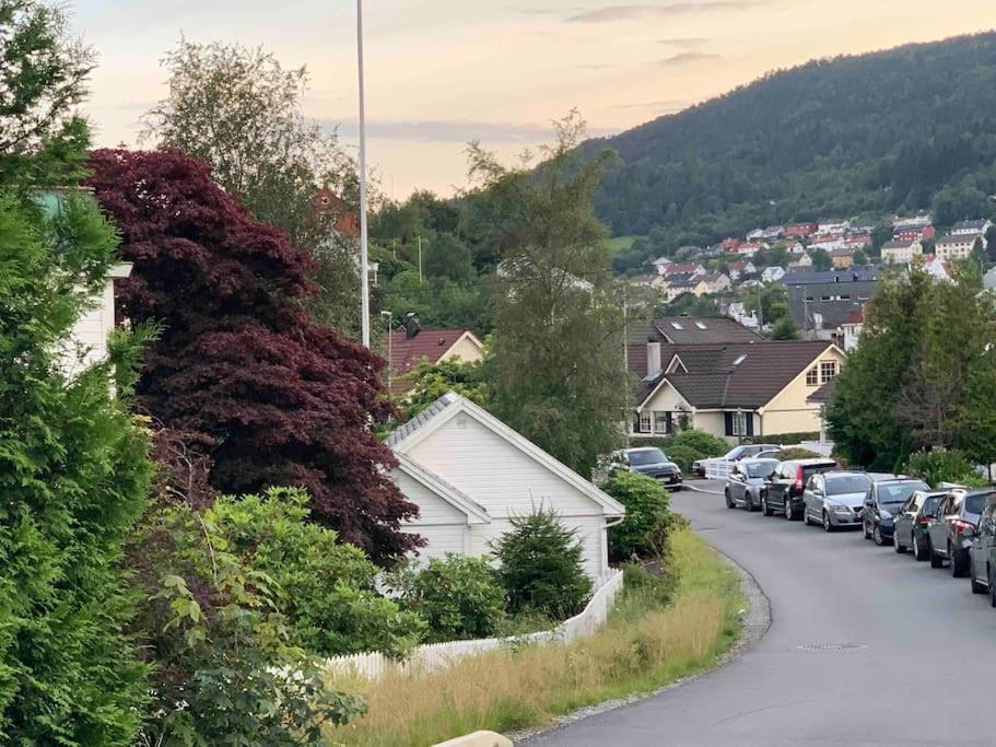 Moderne Og Fullt Utstyrt 3-rom Hageleilighet Sentrum Naer * Bergen