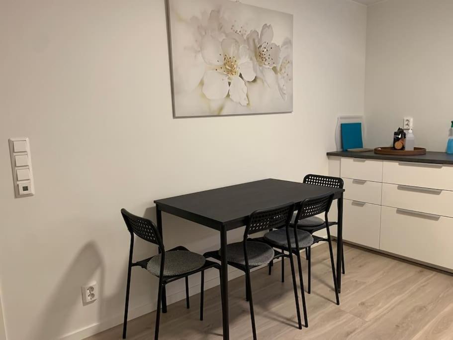 Moderne Og Fullt Utstyrt 3-rom Hageleilighet Sentrum Naer