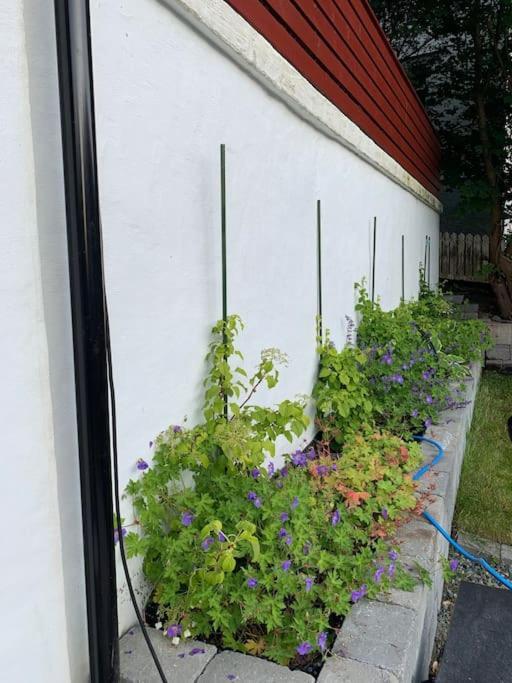 Moderne Og Fullt Utstyrt 3-rom Hageleilighet Sentrum Naer Bergen